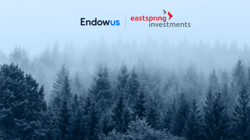 What is sustainable bond investing?